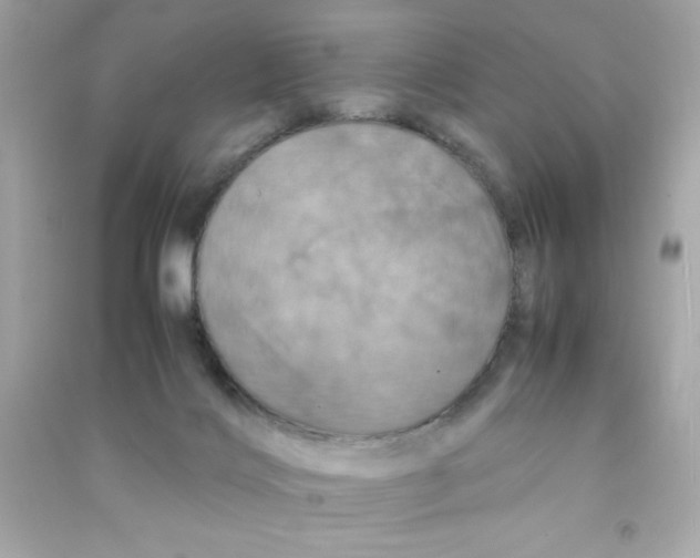 X0000090490028200708102228