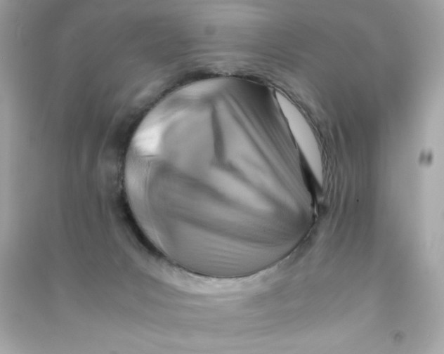 X0000090490031200708102228