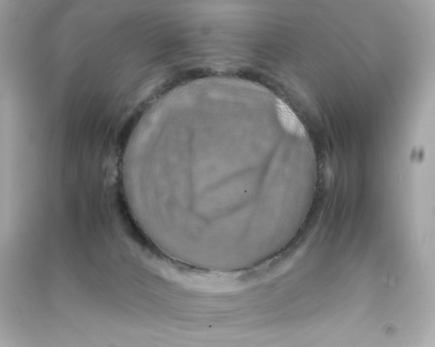 X0000090490032200708102228