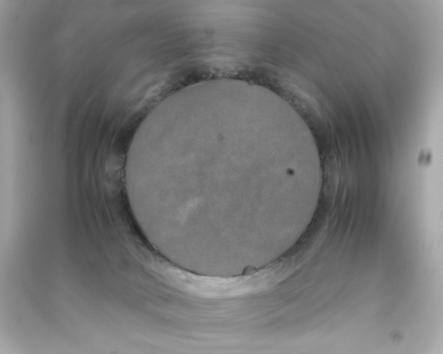 X0000090490034200708102228