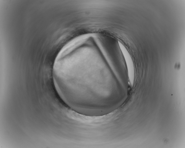 X0000090490035200708102228