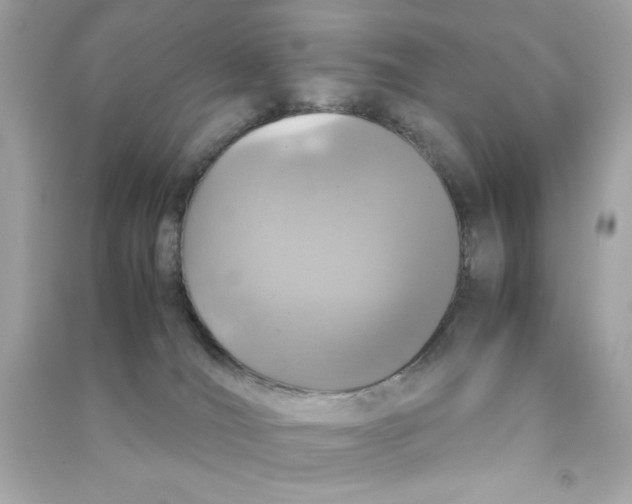 X0000090490036200708102228