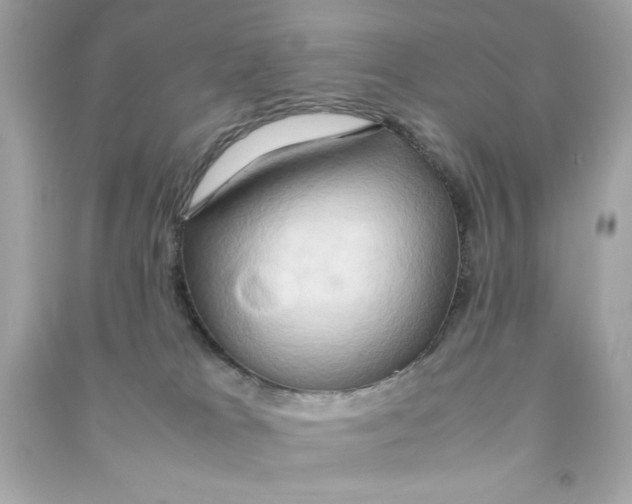 X0000090490037200708102228