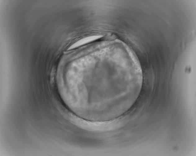 X0000090490038200708102228