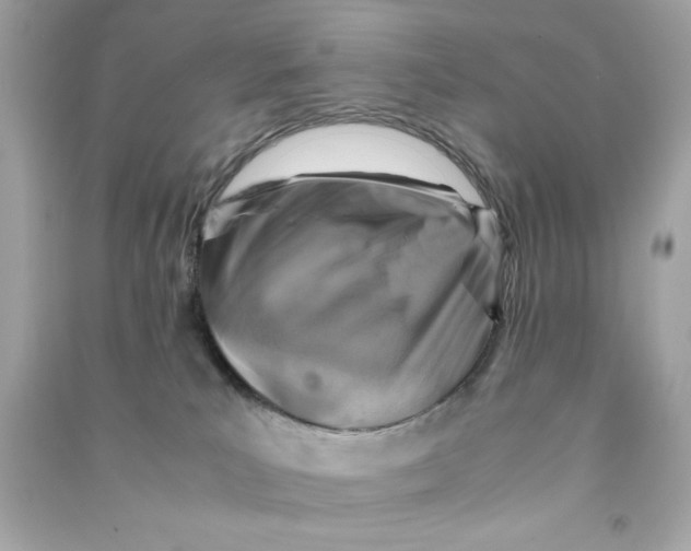 X0000090490039200708102228