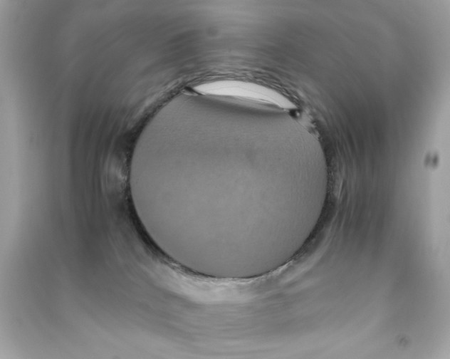 X0000090490040200708102228