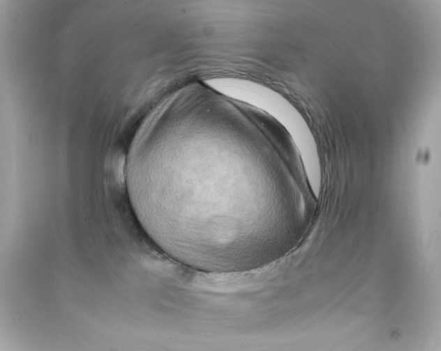 X0000090490041200708102228