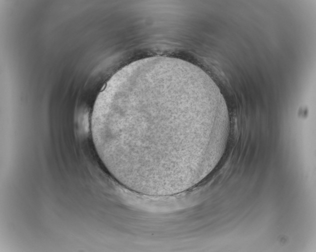 X0000090490042200708102228