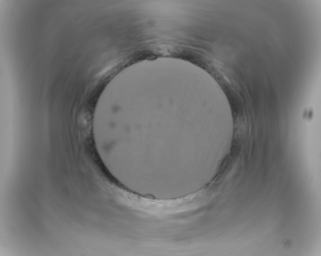 X0000090490043200708102228