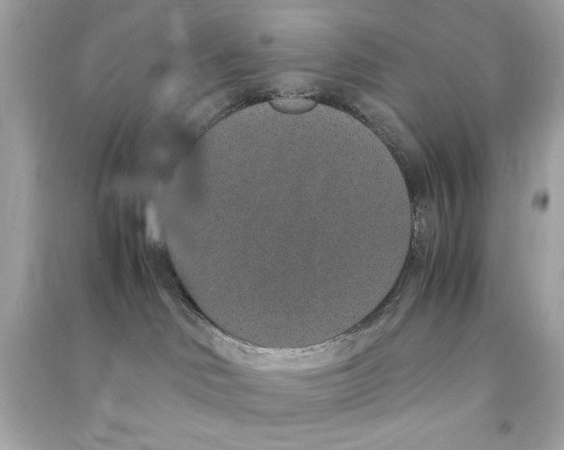 X0000090490046200708102228