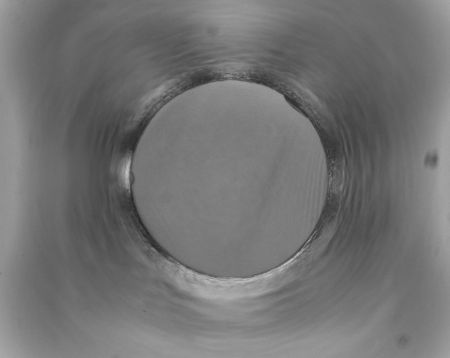 X0000090490047200708102228