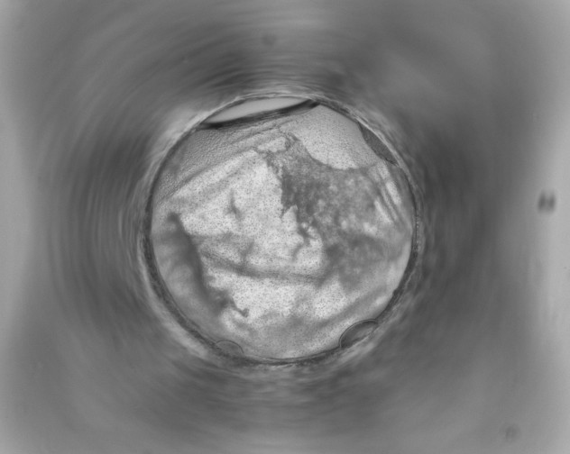 X0000090490049200708102227