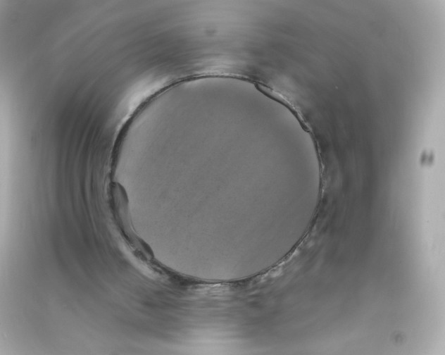 X0000090490050200708102227