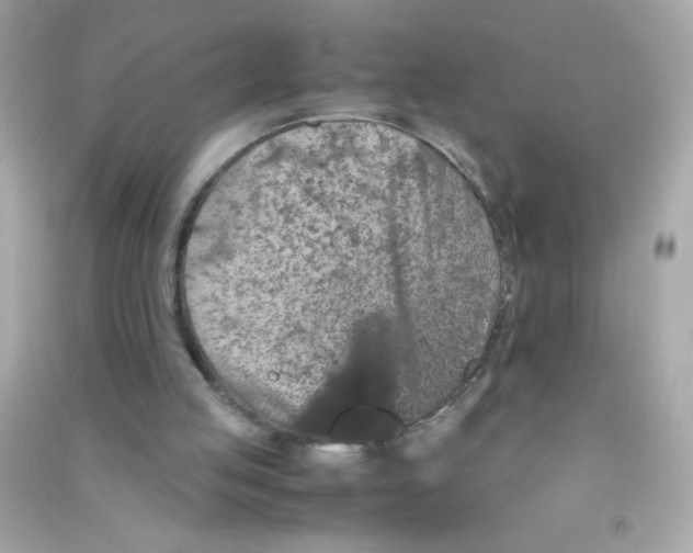 X0000090490053200708102227