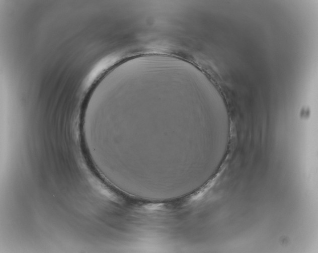 X0000090490054200708102227