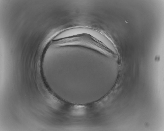 X0000090490055200708102227