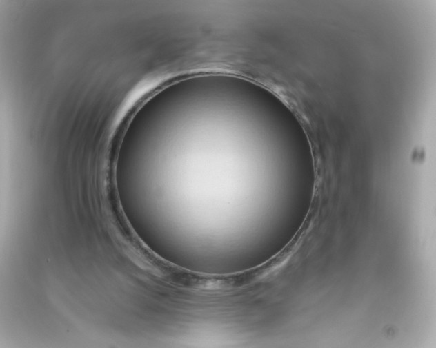 X0000090490056200708102227