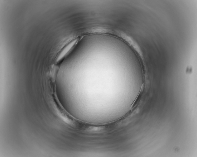 X0000090490057200708102227