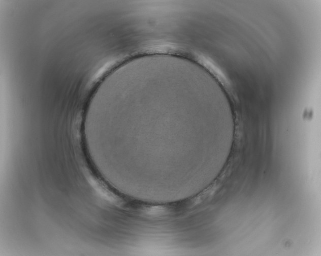 X0000090490058200708102227