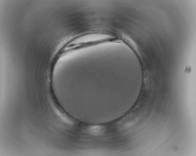 X0000090490059200708102227