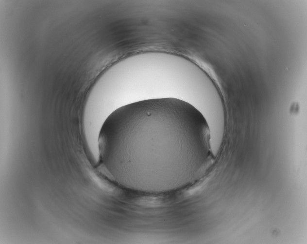 X0000090490061200708102228