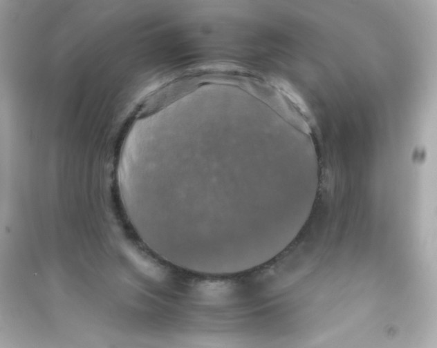 X0000090490063200708102228