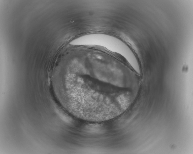 X0000090490065200708102228