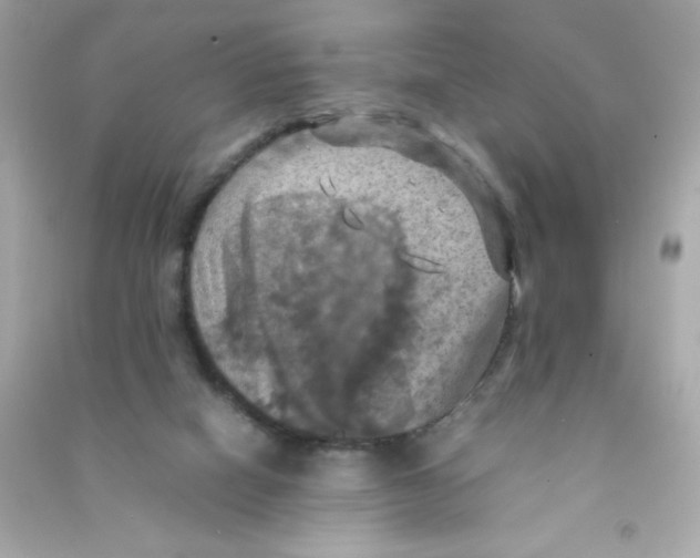 X0000090490066200708102228