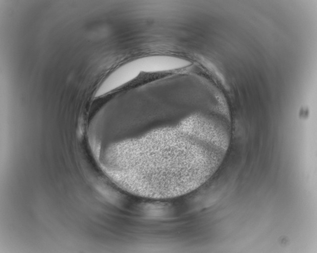 X0000090490069200708102228