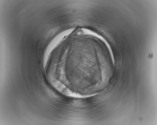 X0000090490070200708102228