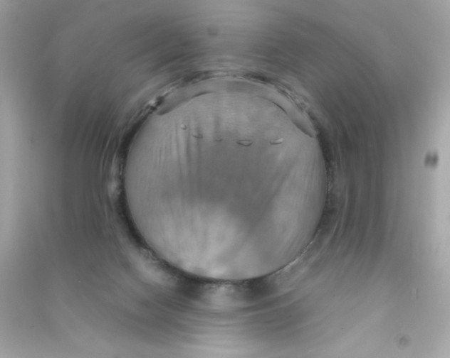 X0000090490074200708102228