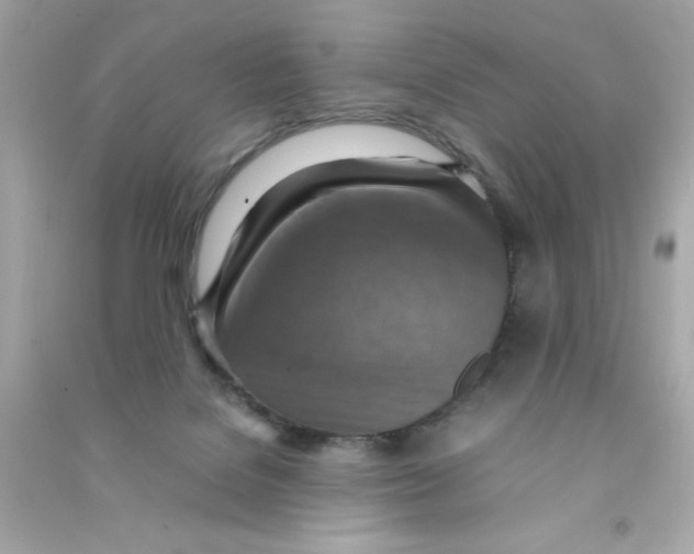 X0000090490076200708102228