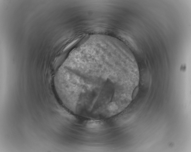 X0000090490077200708102228