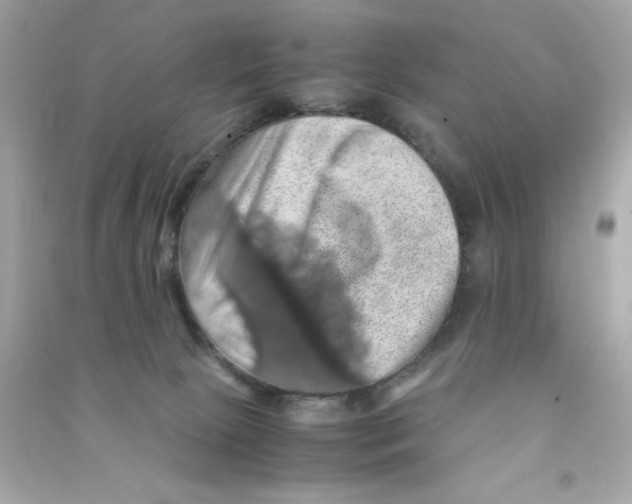 X0000090490081200708102228