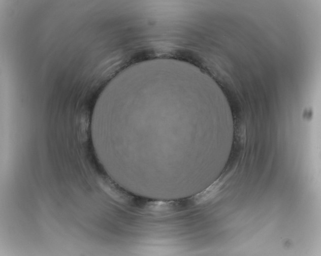 X0000090490082200708102228