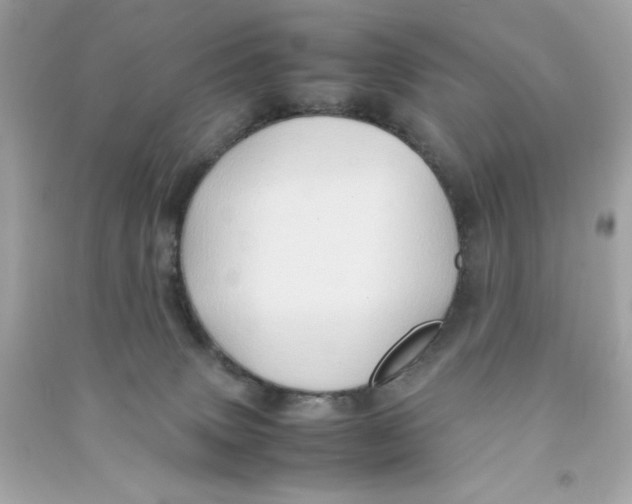 X0000090490083200708102228