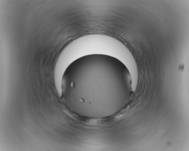 X0000090490084200708102228