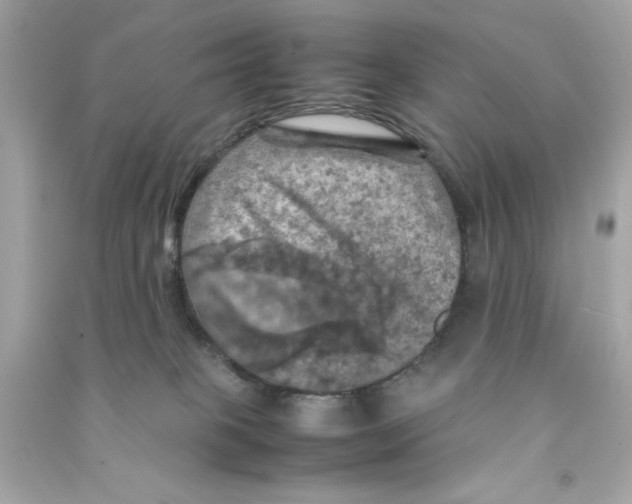 X0000090490085200708102228