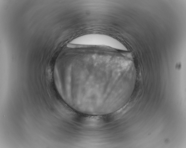 X0000090490086200708102228