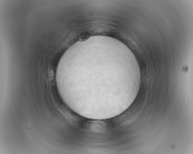 X0000090490087200708102228