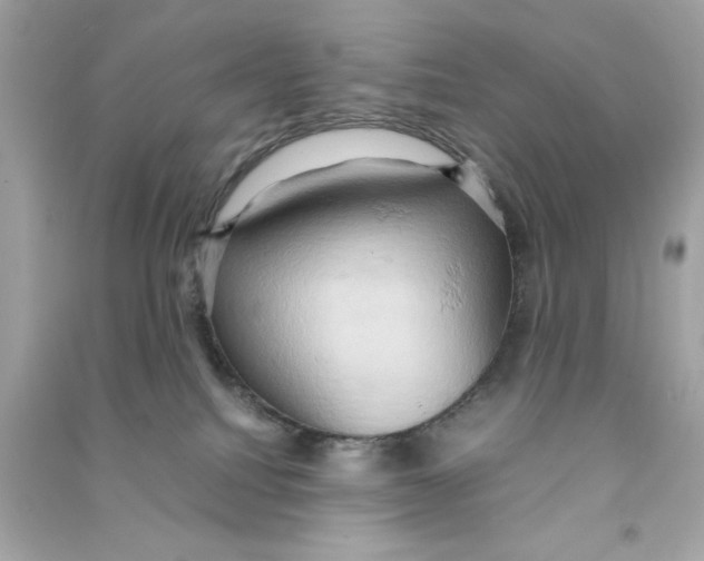 X0000090490088200708102228