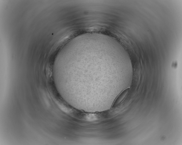 X0000090490091200708102228