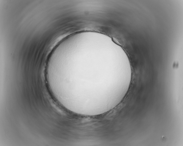 X0000090490098200708102227