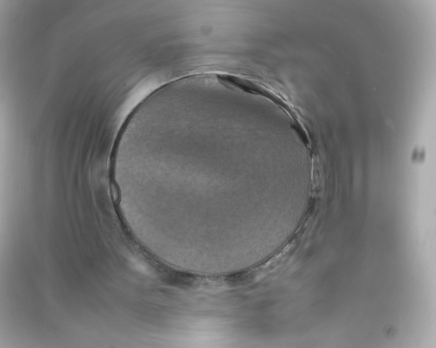 X0000090490099200708102227