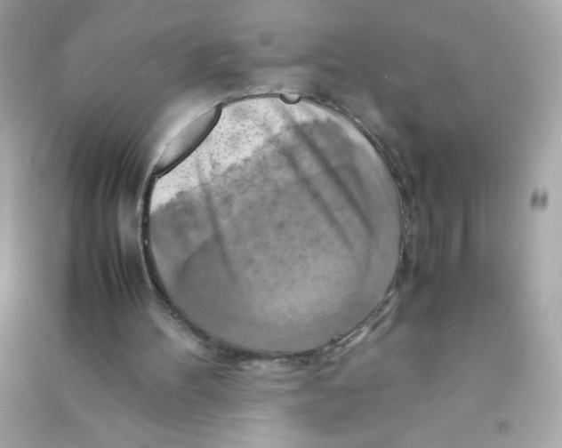 X0000090490100200708102227