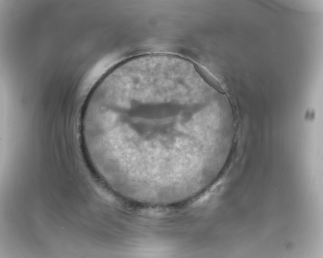 X0000090490103200708102227