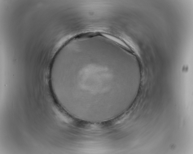 X0000090490107200708102227