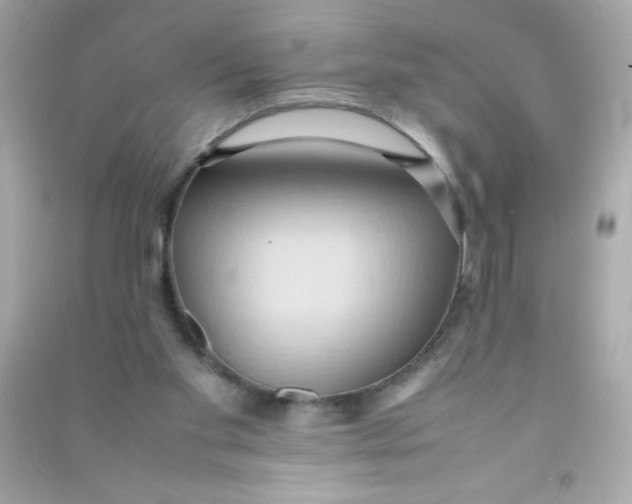 X0000090490109200708102227