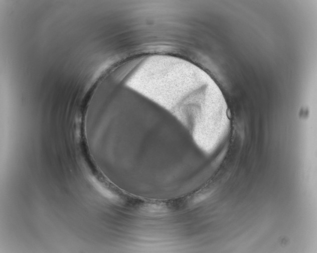 X0000090490110200708102227