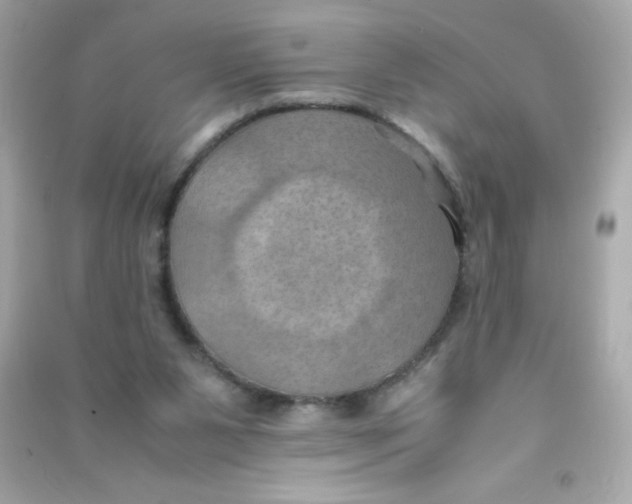 X0000090490111200708102227